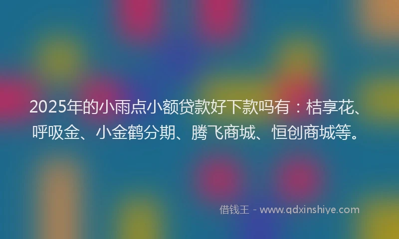 2025年的小雨点小额贷款好下款吗有：桔享花、呼吸金、小金鹤分期、腾飞商城、恒创商城等。