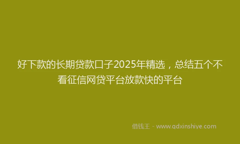 好下款的长期贷款口子2025年精选，总结五个不看征信网贷平台放款快的平台