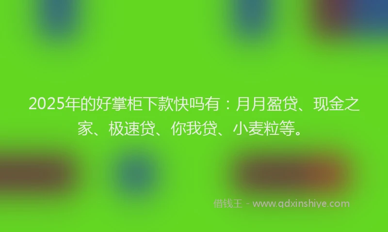 2025年的好掌柜下款快吗有：月月盈贷、现金之家、极速贷、你我贷、小麦粒等。