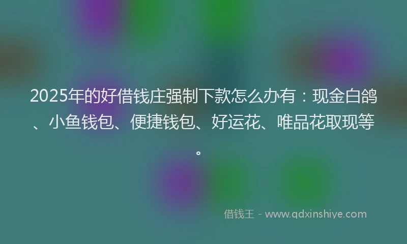 2025年的好借钱庄强制下款怎么办有：现金白鸽、小鱼钱包、便捷钱包、好运花、唯品花取现等。
