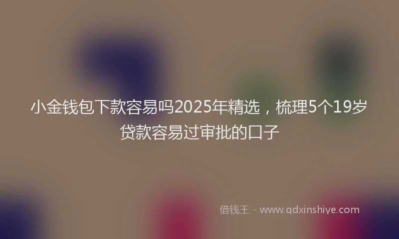 小金钱包下款容易吗2025年精选，梳理5个19岁贷款容易过审批的口子