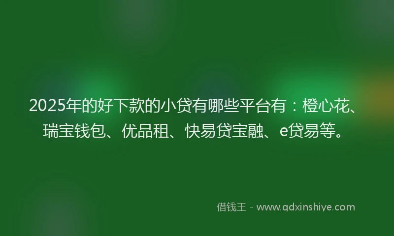 2025年的好下款的小贷有哪些平台有：橙心花、瑞宝钱包、优品租、快易贷宝融、e贷易等。