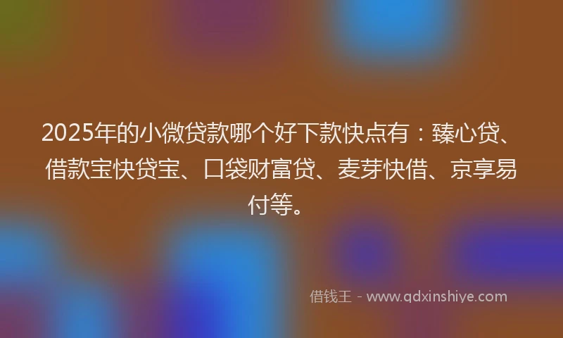 2025年的小微贷款哪个好下款快点有：臻心贷、借款宝快贷宝、口袋财富贷、麦芽快借、京享易付等。