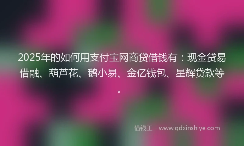 2025年的如何用支付宝网商贷借钱有：现金贷易借融、葫芦花、鹅小易、金亿钱包、星辉贷款等。