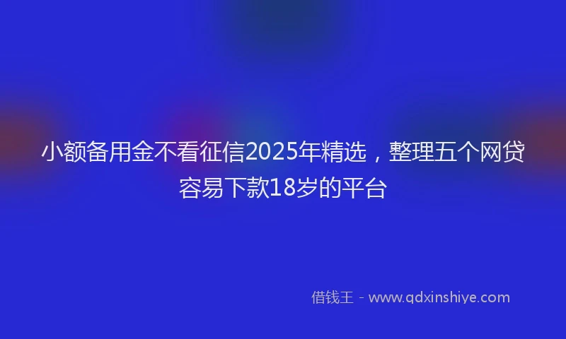 小额备用金不看征信2025年精选，整理五个网贷容易下款18岁的平台