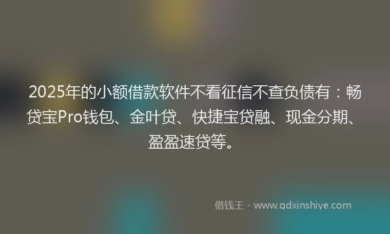 2025年的小额借款软件不看征信不查负债有:畅贷宝Pro钱包、金叶贷、快捷宝贷融、现金分期、盈盈速贷等。