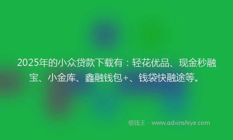 2025年的小众贷款下载有：轻花优品、现金秒融宝、小金库、鑫融钱包+、钱袋快融途等。
