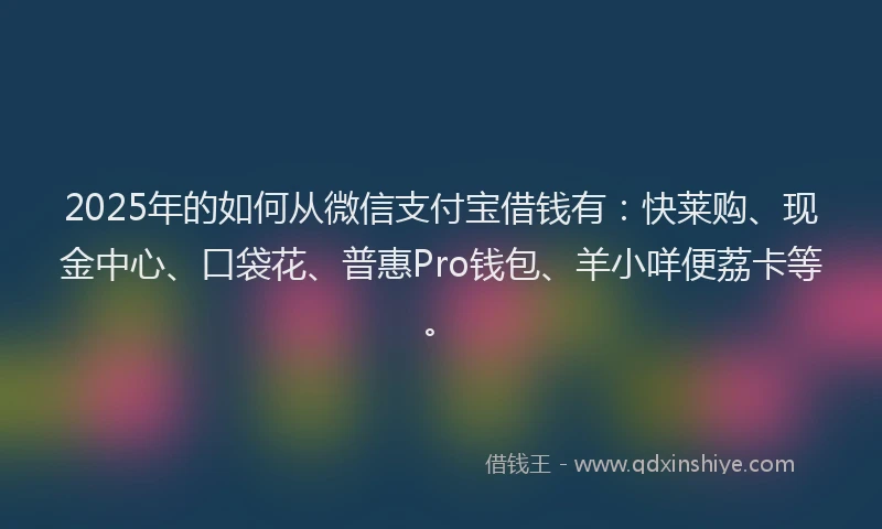 2025年的如何从微信支付宝借钱有：快莱购、现金中心、口袋花、普惠Pro钱包、羊小咩便荔卡等。