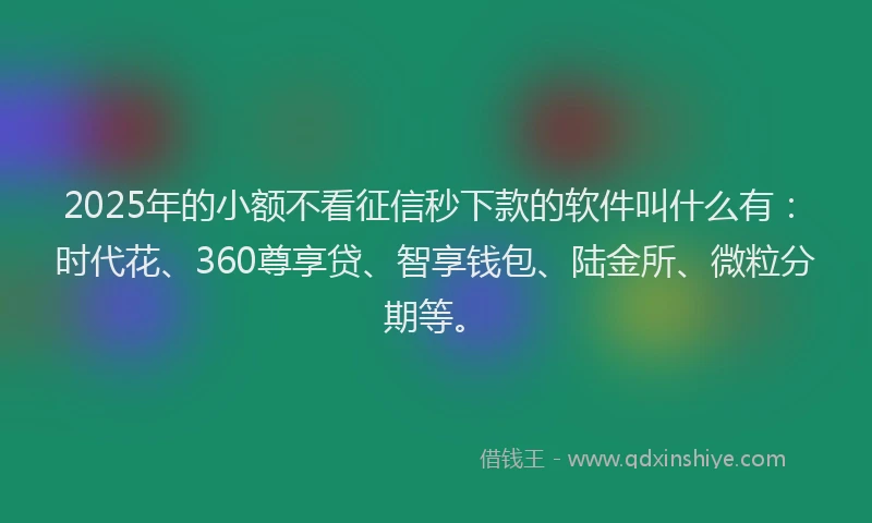 2025年的小额不看征信秒下款的软件叫什么有：时代花、360尊享贷、智享钱包、陆金所、微粒分期等。