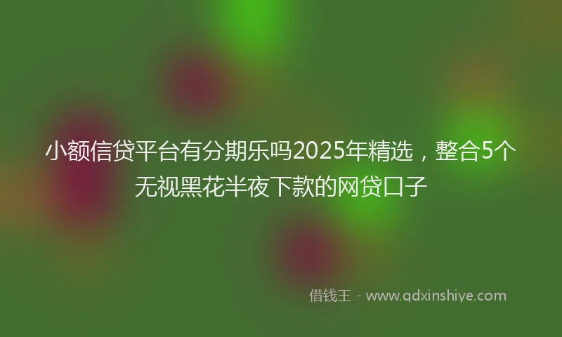 小额信贷平台有分期乐吗2025年精选，整合5个无视黑花半夜下款的网贷口子