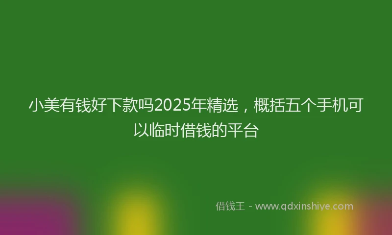 小美有钱好下款吗2025年精选，概括五个手机可以临时借钱的平台