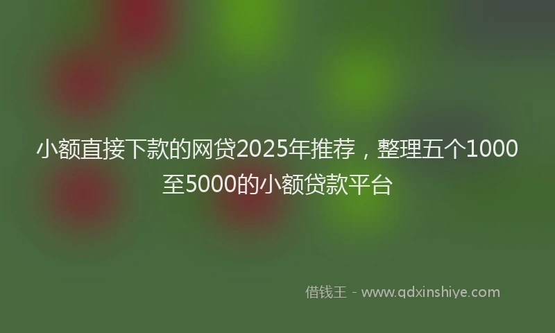 小额直接下款的网贷2025年推荐，整理五个1000至5000的小额贷款平台