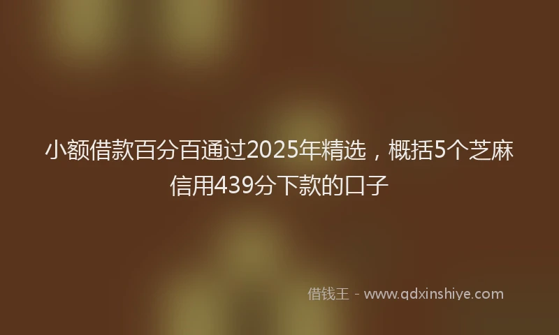 小额借款百分百通过2025年精选，概括5个芝麻信用439分下款的口子