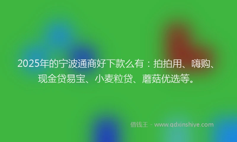 2025年的宁波通商好下款么有：拍拍用、嗨购、现金贷易宝、小麦粒贷、蘑菇优选等。