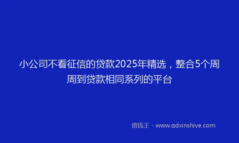 小公司不看征信的贷款2025年精选，整合5个周周到贷款相同系列的平台