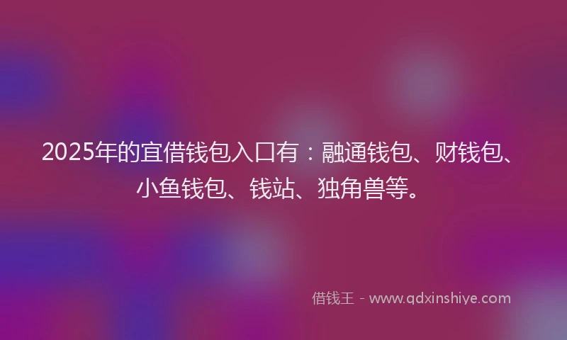 2025年的宜借钱包入口有：融通钱包、财钱包、小鱼钱包、钱站、独角兽等。