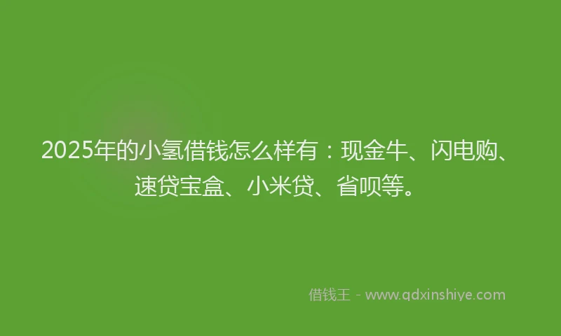 2025年的小氢借钱怎么样有：现金牛、闪电购、速贷宝盒、小米贷、省呗等。