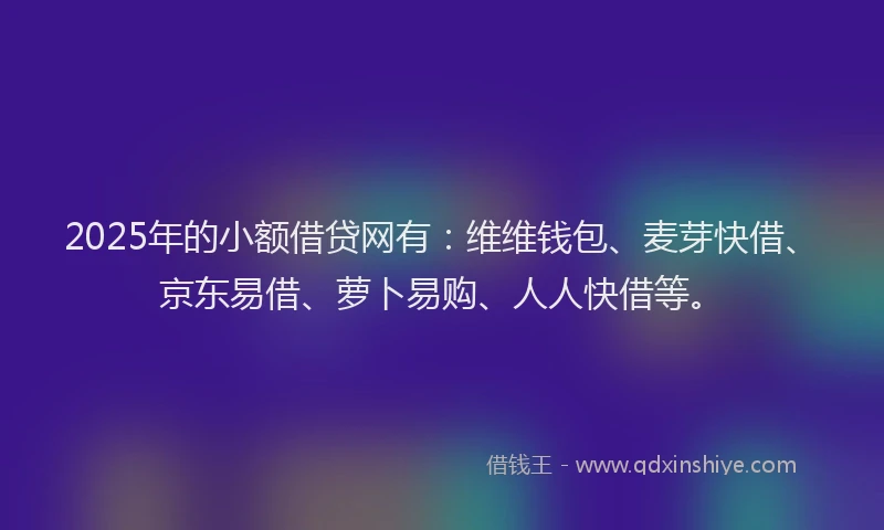 2025年的小额借贷网有：维维钱包、麦芽快借、京东易借、萝卜易购、人人快借等。