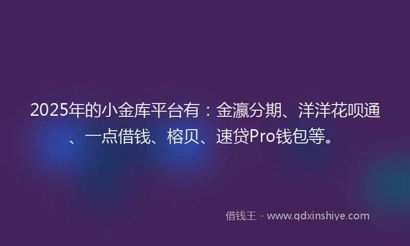 2025年的小金库平台有：金瀛分期、洋洋花呗通、一点借钱、榕贝、速贷Pro钱包等。