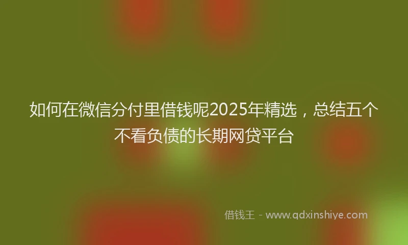 如何在微信分付里借钱呢2025年精选，总结五个不看负债的长期网贷平台