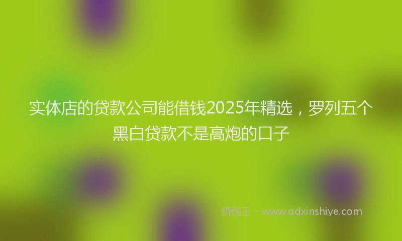 实体店的贷款公司能借钱2025年精选，罗列五个黑白贷款不是高炮的口子