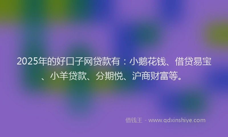 2025年的好口子网贷款有：小鹅花钱、借贷易宝、小羊贷款、分期悦、沪商财富等。