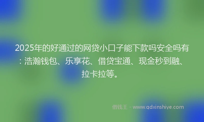 2025年的好通过的网贷小口子能下款吗安全吗有：浩瀚钱包、乐享花、借贷宝通、现金秒到融、拉卡拉等。