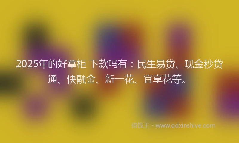 2025年的好掌柜 下款吗有：民生易贷、现金秒贷通、快融金、新一花、宜享花等。