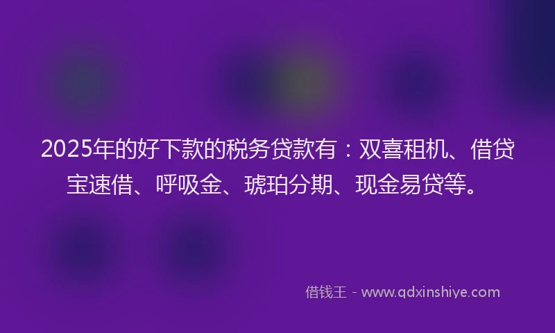 2025年的好下款的税务贷款有：双喜租机、借贷宝速借、呼吸金、琥珀分期、现金易贷等。