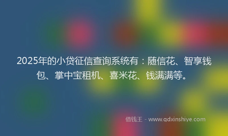 2025年的小贷征信查询系统有：随信花、智享钱包、掌中宝租机、喜米花、钱满满等。
