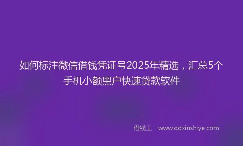 如何标注微信借钱凭证号2025年精选，汇总5个手机小额黑户快速贷款软件