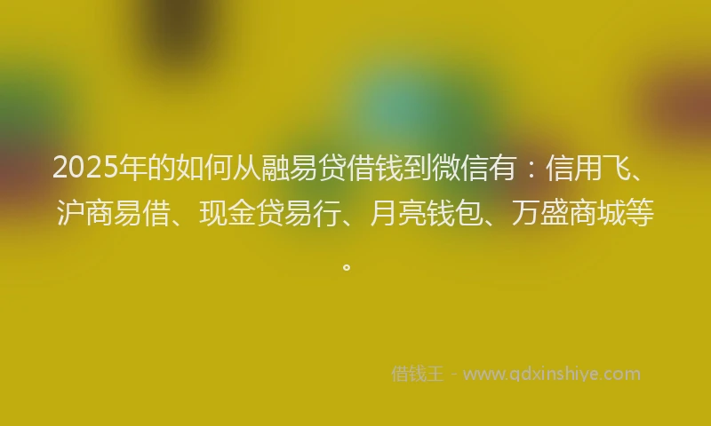 2025年的如何从融易贷借钱到微信有：信用飞、沪商易借、现金贷易行、月亮钱包、万盛商城等。