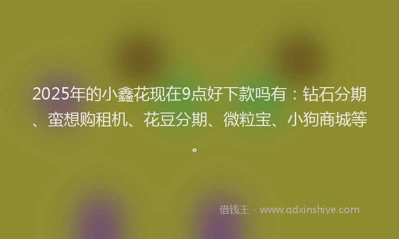 2025年的小鑫花现在9点好下款吗有：钻石分期、蛮想购租机、花豆分期、微粒宝、小狗商城等。