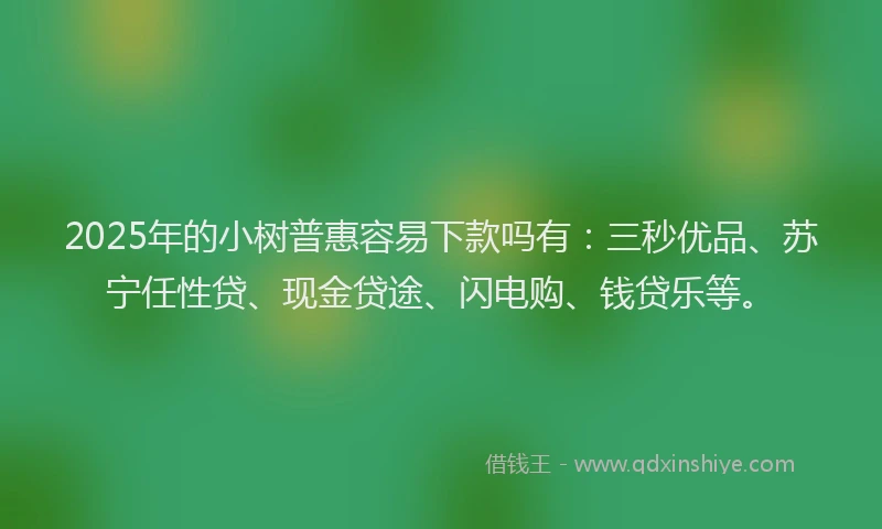 2025年的小树普惠容易下款吗有：三秒优品、苏宁任性贷、现金贷途、闪电购、钱贷乐等。