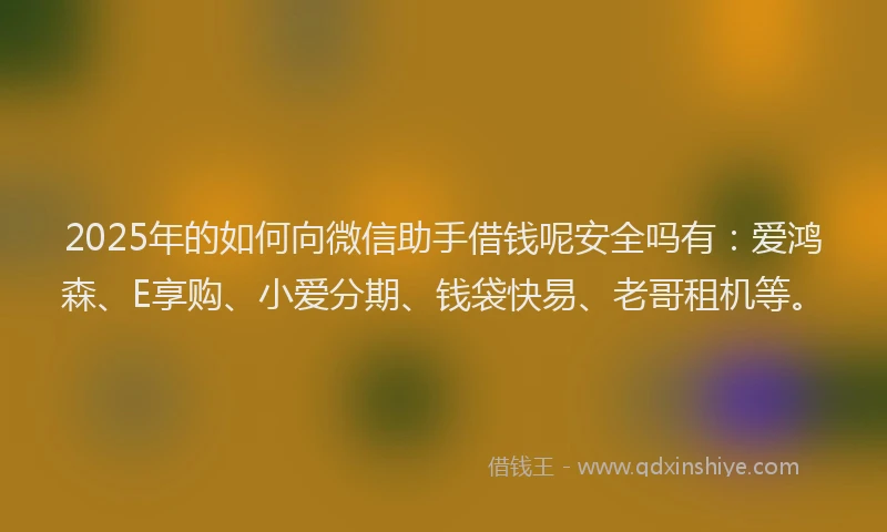 2025年的如何向微信助手借钱呢安全吗有：爱鸿森、E享购、小爱分期、钱袋快易、老哥租机等。