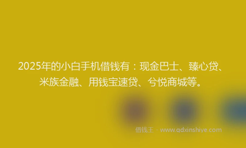 2025年的小白手机借钱有：现金巴士、臻心贷、米族金融、用钱宝速贷、兮悦商城等。