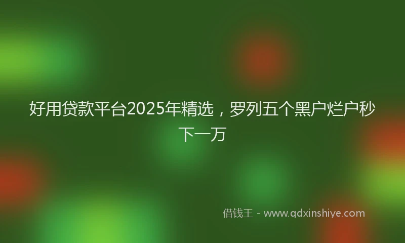好用贷款平台2025年精选，罗列五个黑户烂户秒下一万