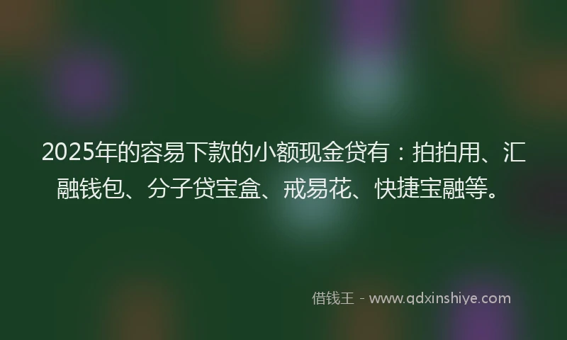 2025年的容易下款的小额现金贷有：拍拍用、汇融钱包、分子贷宝盒、戒易花、快捷宝融等。