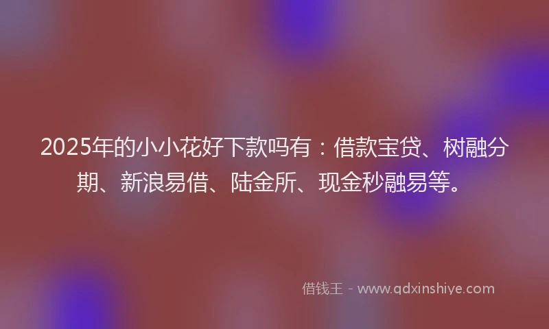 2025年的小小花好下款吗有：借款宝贷、树融分期、新浪易借、陆金所、现金秒融易等。