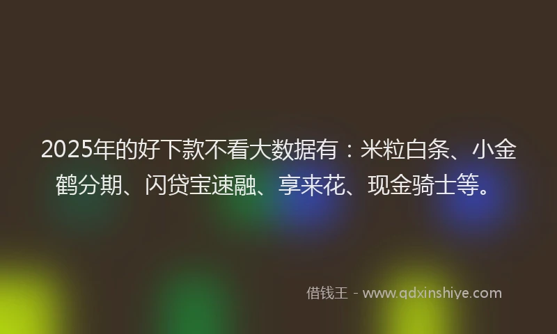 2025年的好下款不看大数据有：米粒白条、小金鹤分期、闪贷宝速融、享来花、现金骑士等。