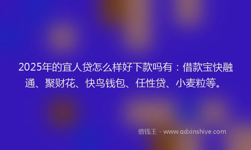 2025年的宜人贷怎么样好下款吗有：借款宝快融通、聚财花、快鸟钱包、任性贷、小麦粒等。