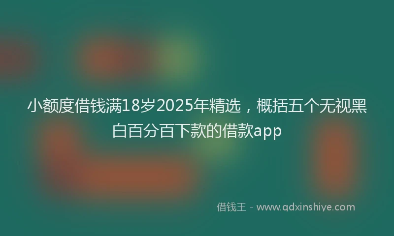 小额度借钱满18岁2025年精选，概括五个无视黑白百分百下款的借款app