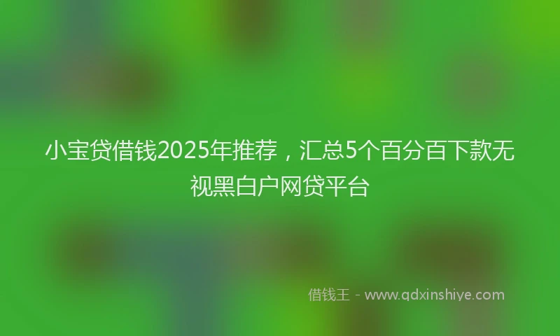 小宝贷借钱2025年推荐，汇总5个百分百下款无视黑白户网贷平台