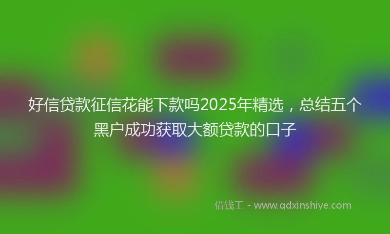 好信贷款征信花能下款吗2025年精选，总结五个黑户成功获取大额贷款的口子