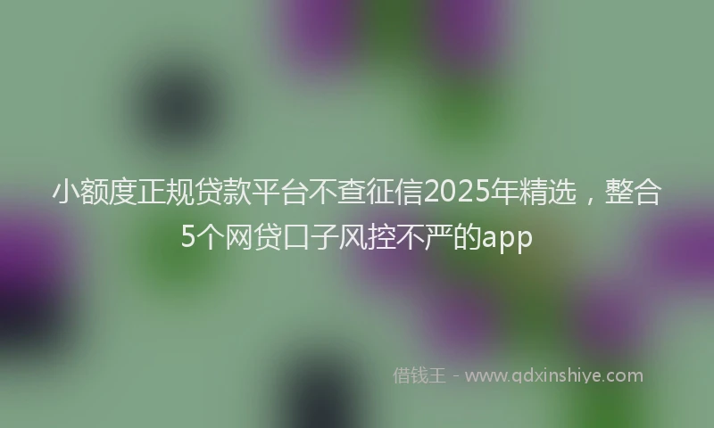 小额度正规贷款平台不查征信2025年精选，整合5个网贷口子风控不严的app