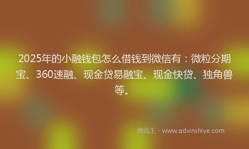 2025年的小融钱包怎么借钱到微信有：微粒分期宝、360速融、现金贷易融宝、现金快贷、独角兽等。