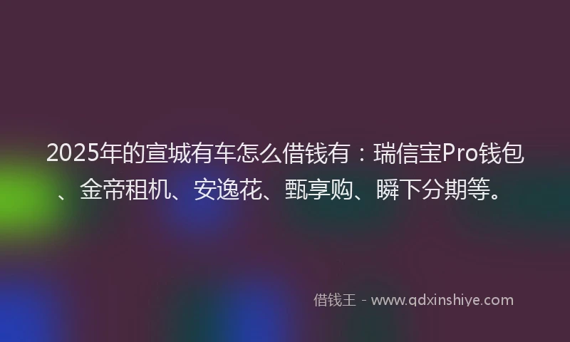 2025年的宣城有车怎么借钱有：瑞信宝Pro钱包、金帝租机、安逸花、甄享购、瞬下分期等。