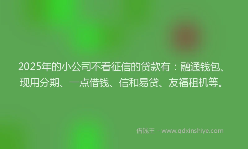 2025年的小公司不看征信的贷款有：融通钱包、现用分期、一点借钱、信和易贷、友福租机等。