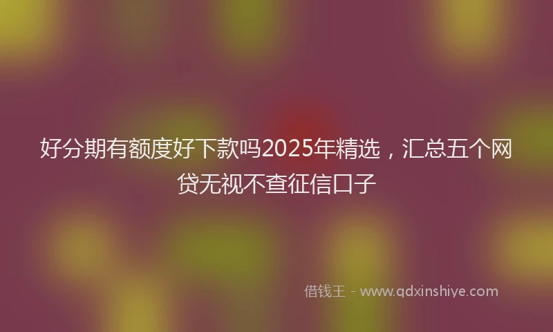 好分期有额度好下款吗2025年精选，汇总五个网贷无视不查征信口子