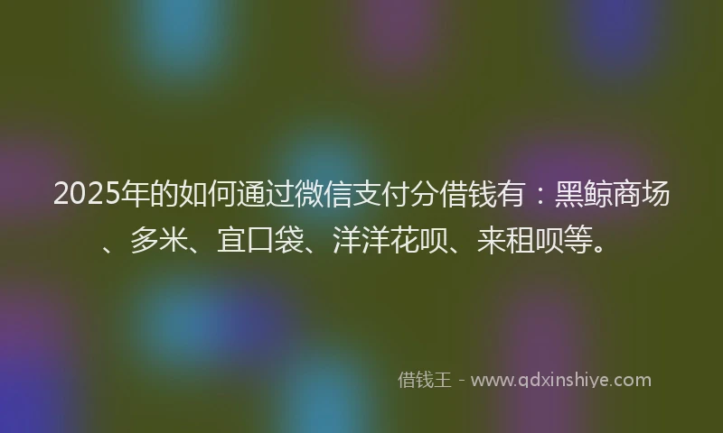 2025年的如何通过微信支付分借钱有：黑鲸商场、多米、宜口袋、洋洋花呗、来租呗等。